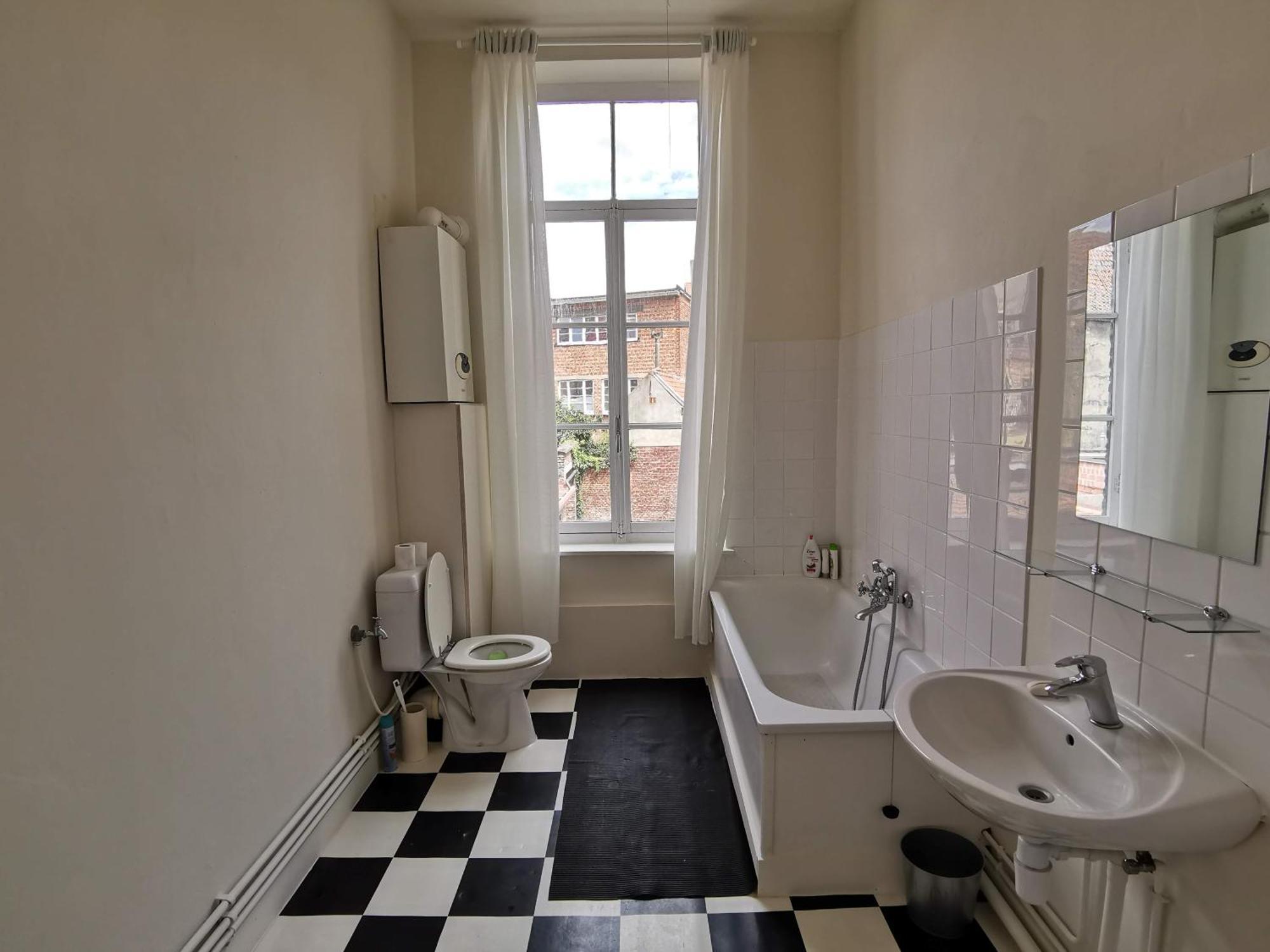 Private Near Gravensteen Gent